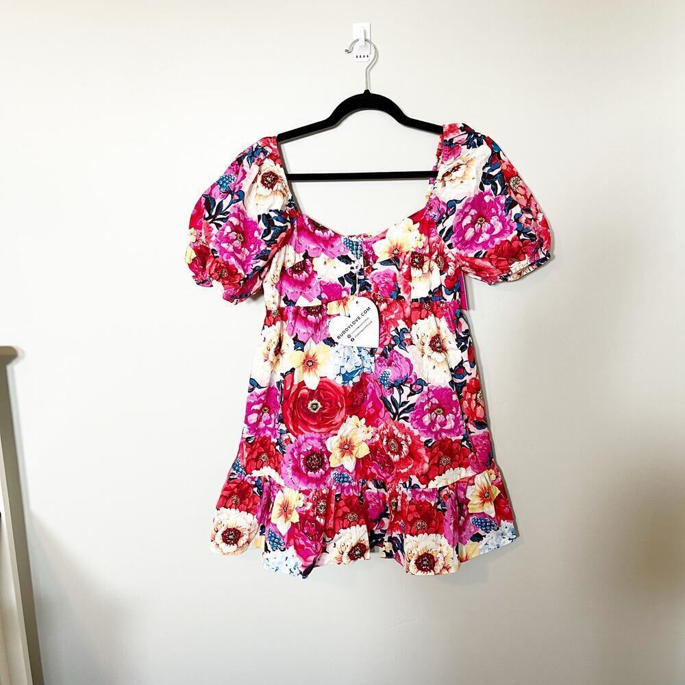 Buddy love Diego‎ babydoll floral mini dress size small NWT